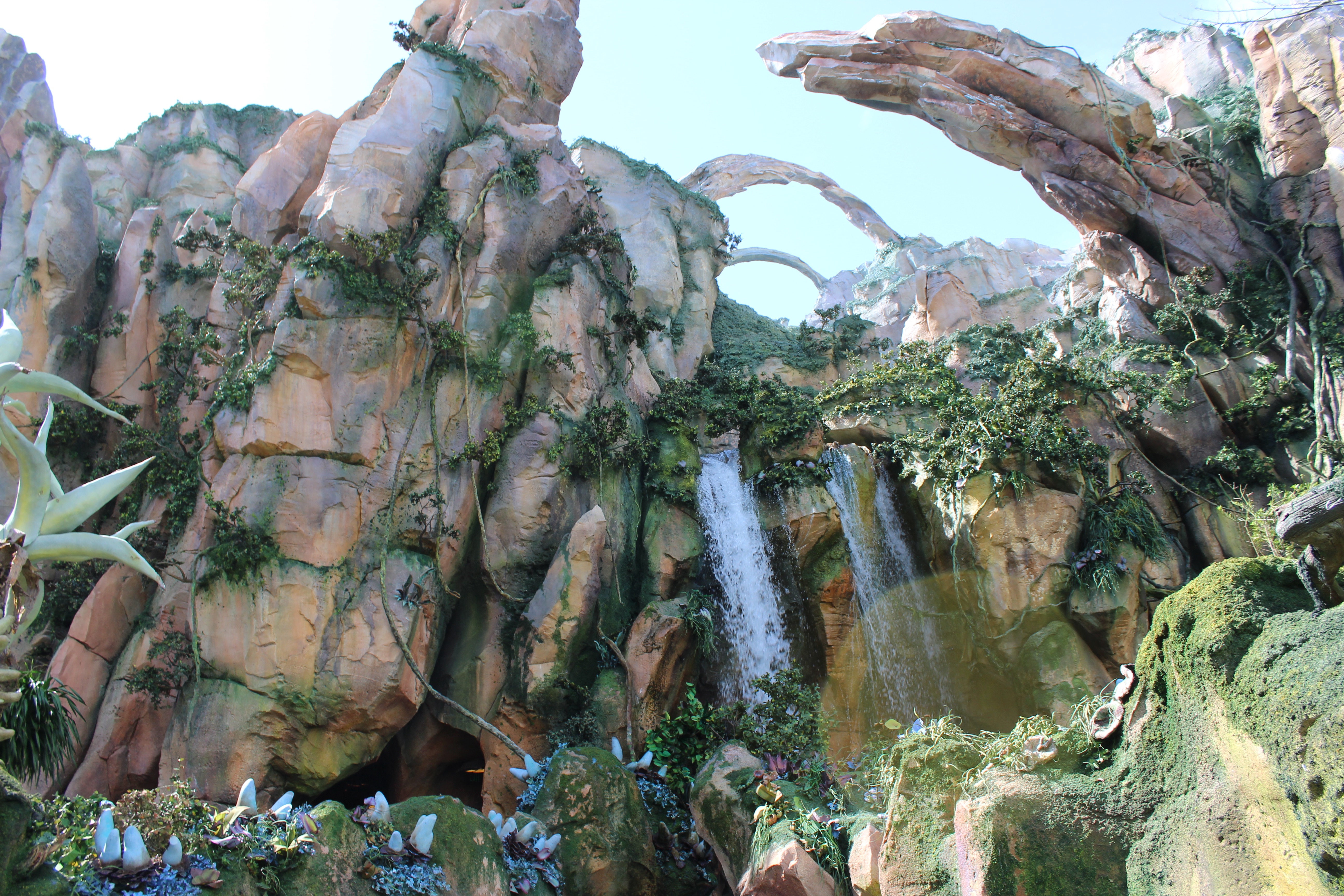 Avatar- Flight Of Passage, Going Out the Door, Disney, Pandora