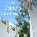 Pros and Cons of Using a Clothesline