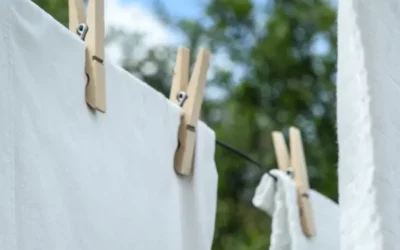 The Pros and Cons of Using a Clothesline