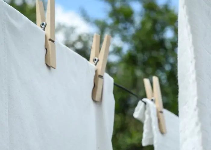 Pros and Cons of Using a Clothesline